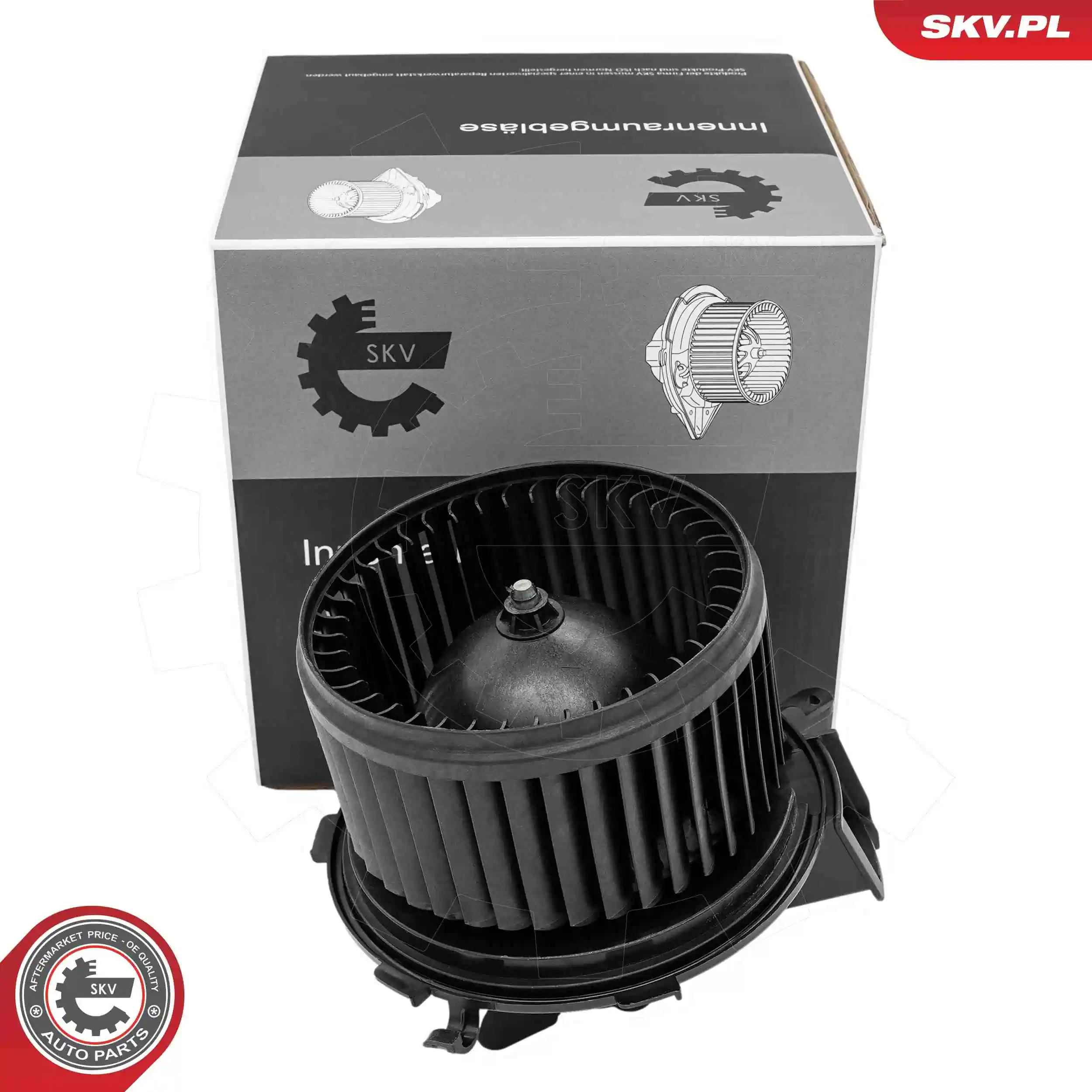 Interior Blower